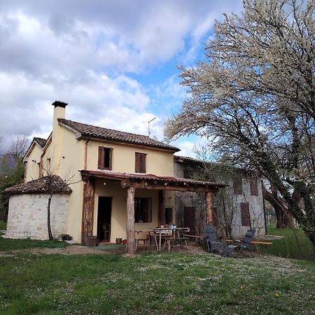 La Caneveta Al Piave Valdobbiadene Kültér fotó