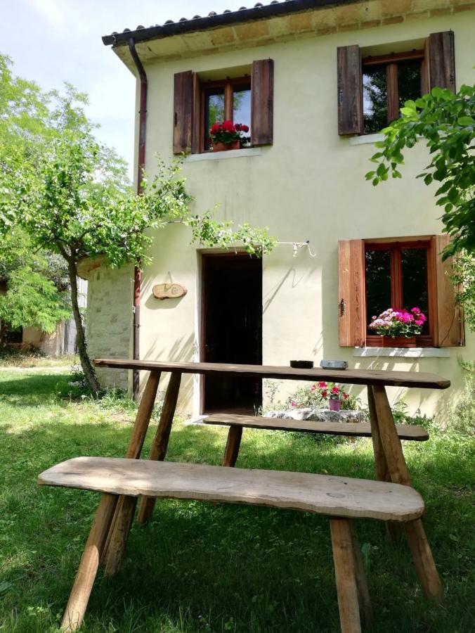 La Caneveta Al Piave Valdobbiadene Kültér fotó