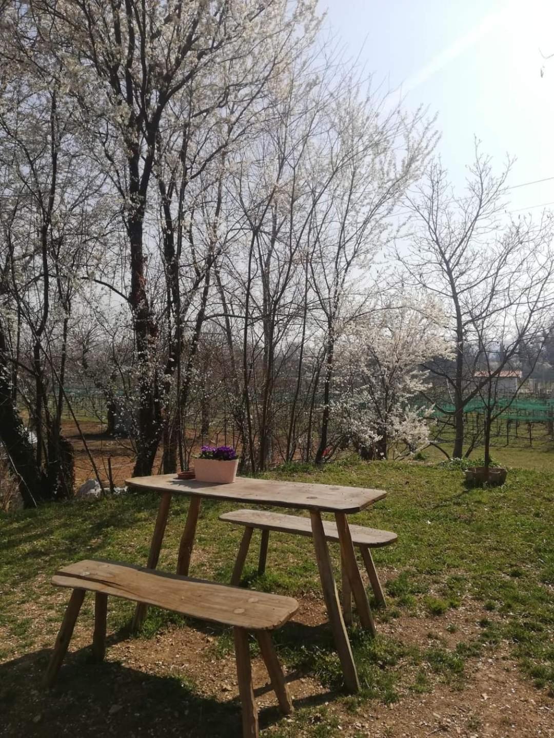 La Caneveta Al Piave Valdobbiadene Kültér fotó